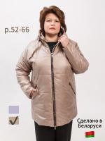 0825 �����