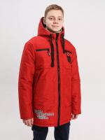 1224 �������