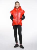 5621/�������