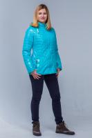 ������ 5816 ���������...