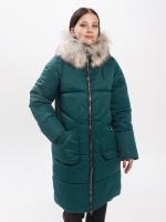 2113/����������