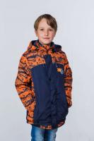 ������ 8616 ���������...